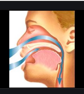 Respirer par le nez et la bouche ? Foire aux questions
